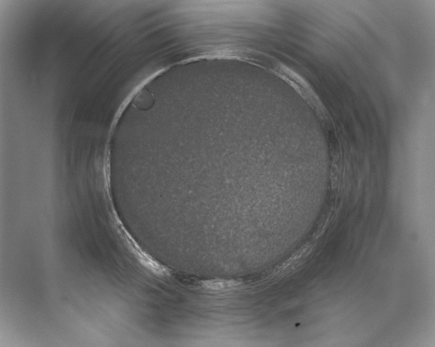 X0000071760804200607220008