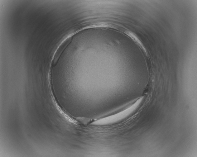 X0000071760805200607220008