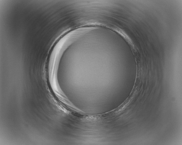 X0000071760806200607220008