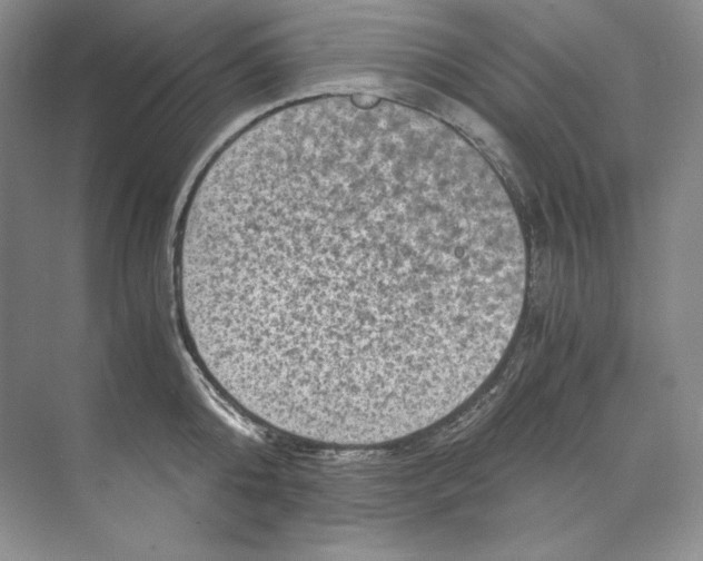 X0000071760808200607220008