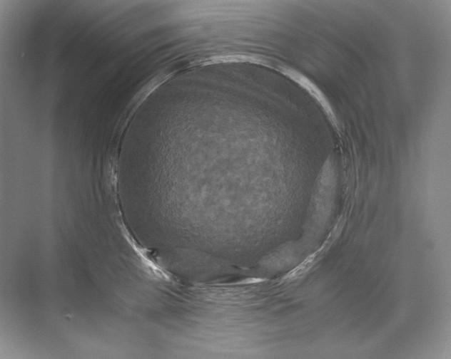 X0000071760809200607220008