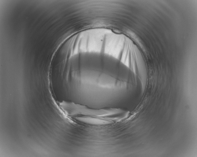 X0000071760810200607220008