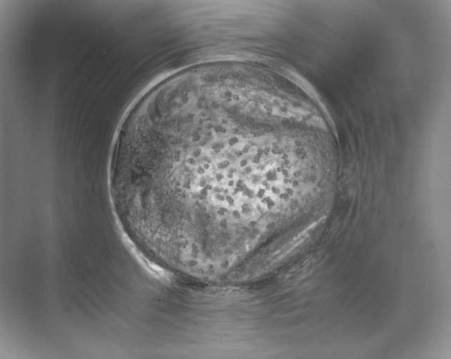 X0000071760811200607220008