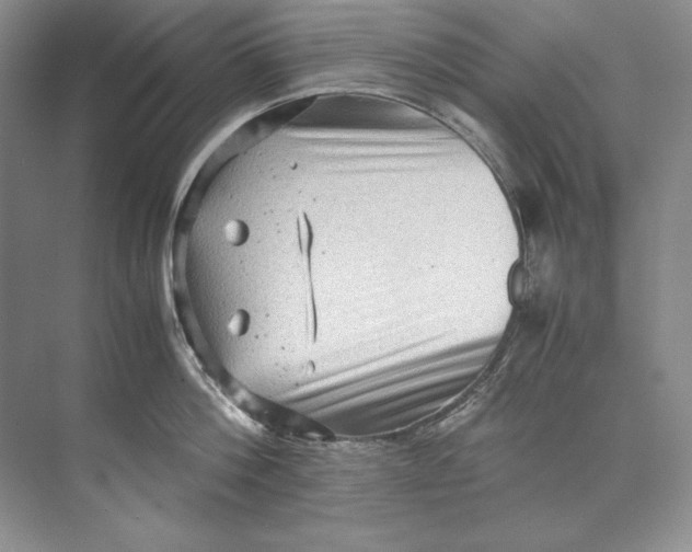 X0000071760812200607220008