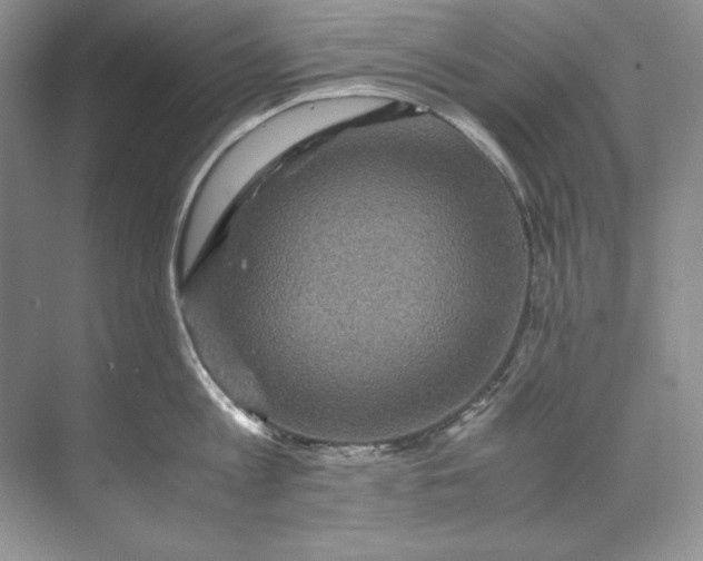 X0000071760813200607220008