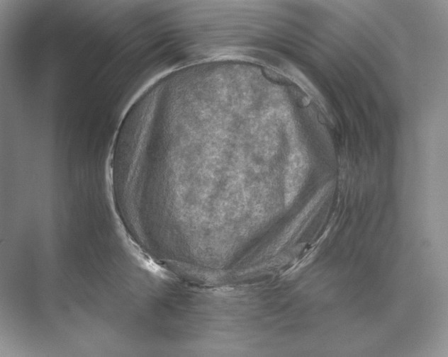 X0000071760814200607220008