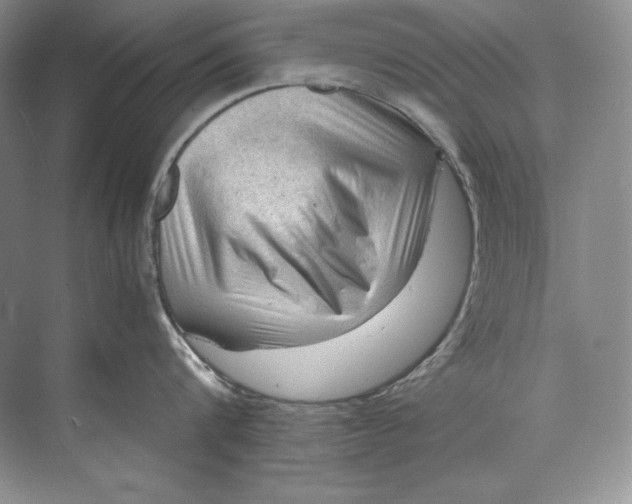 X0000071760816200607220008