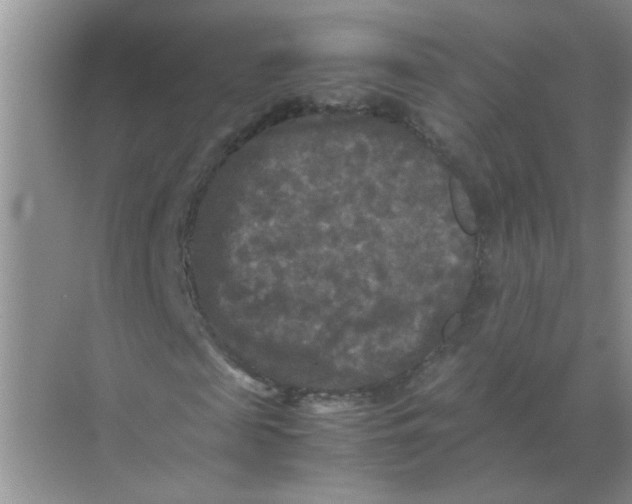 X0000071760817200607220007