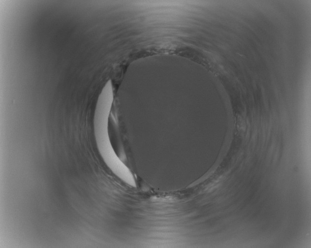 X0000071760818200607220007