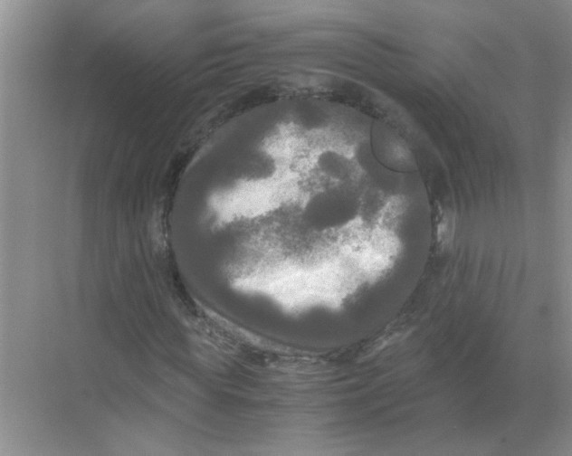 X0000071760819200607220007