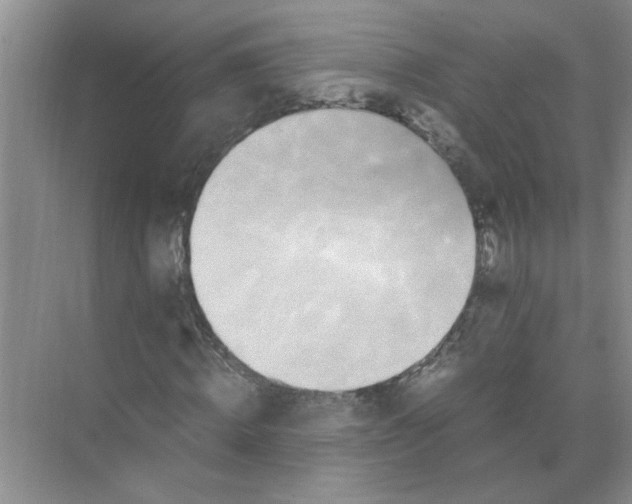 X0000071760820200607220007