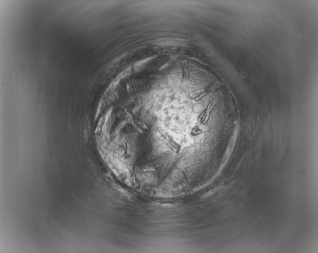 X0000071760821200607220007