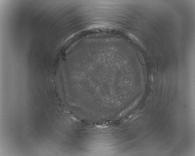 X0000071760822200607220007