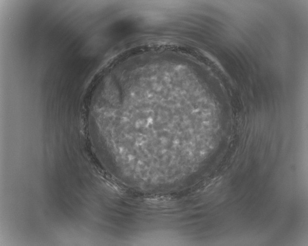 X0000071760823200607220007