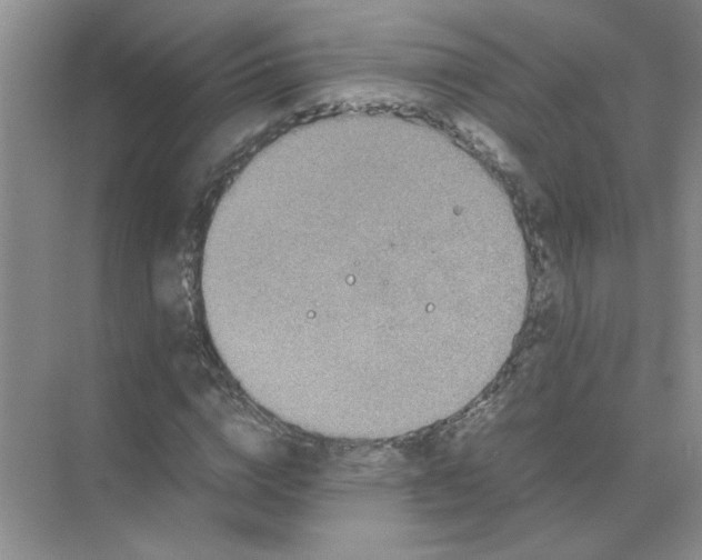 X0000071760824200607220007