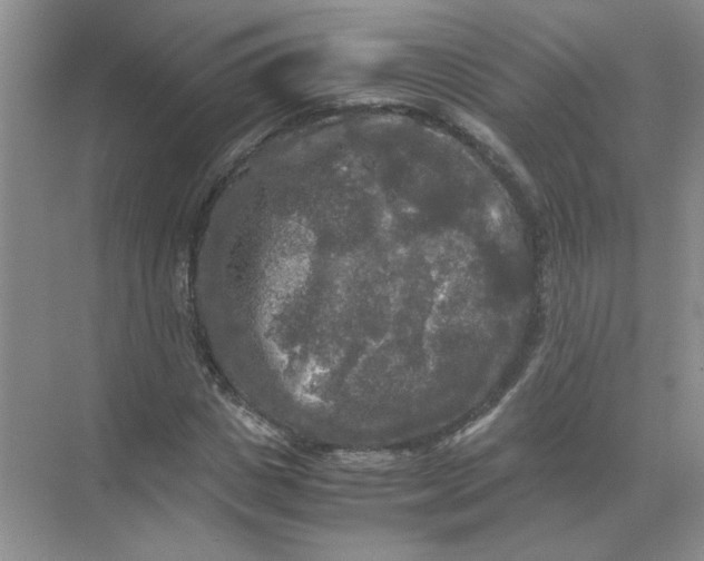 X0000071760825200607220007