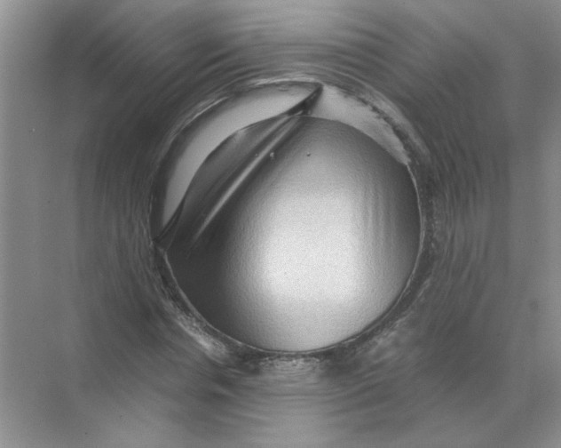 X0000071760826200607220007