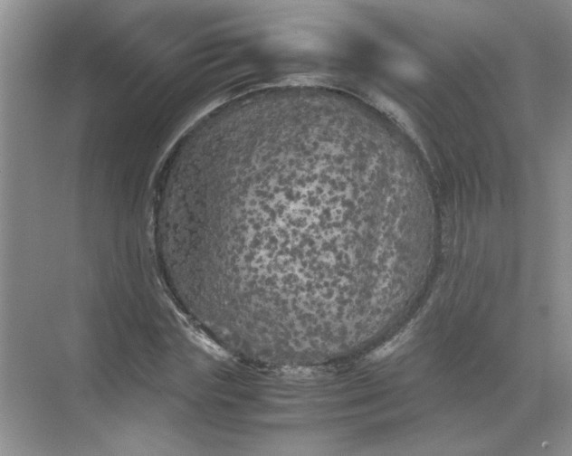 X0000071760827200607220007