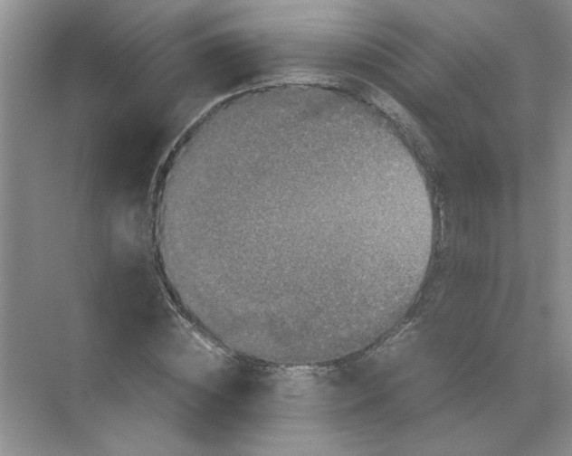 X0000071760828200607220007