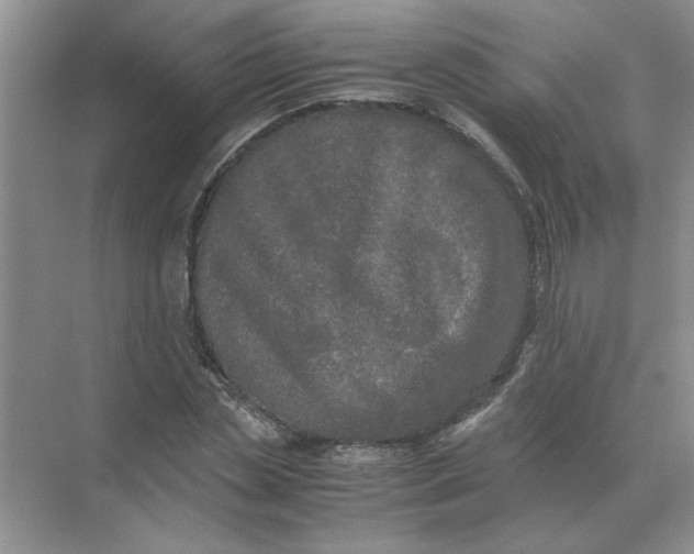 X0000071760829200607220007