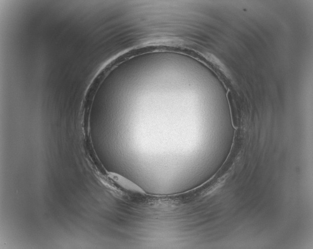 X0000071760830200607220007