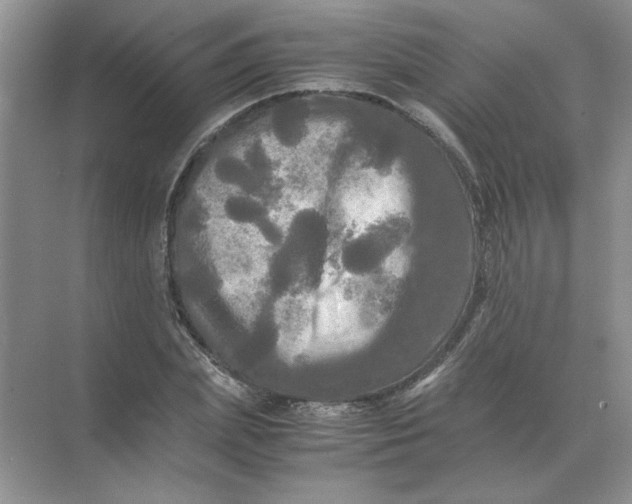 X0000071760831200607220007