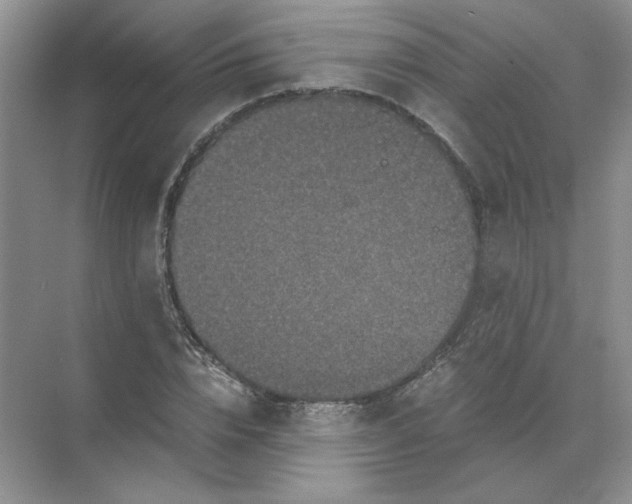 X0000071760832200607220007