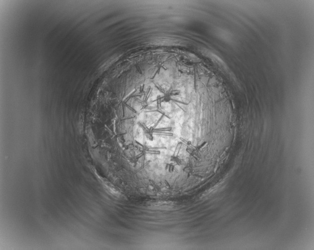 X0000071760833200607220007