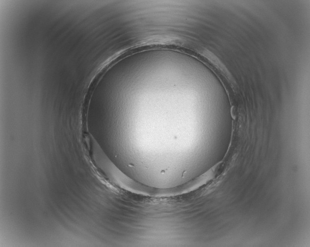 X0000071760834200607220007