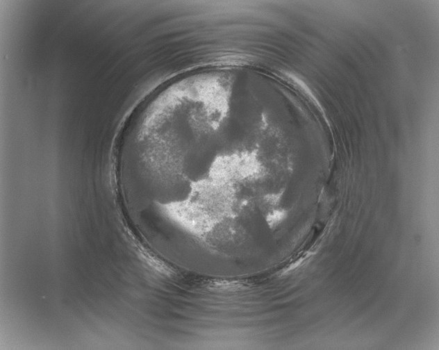 X0000071760835200607220007