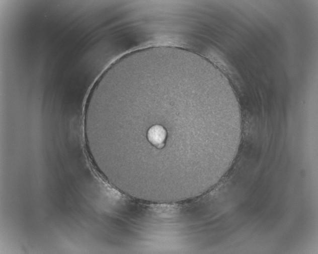 X0000071760836200607220007