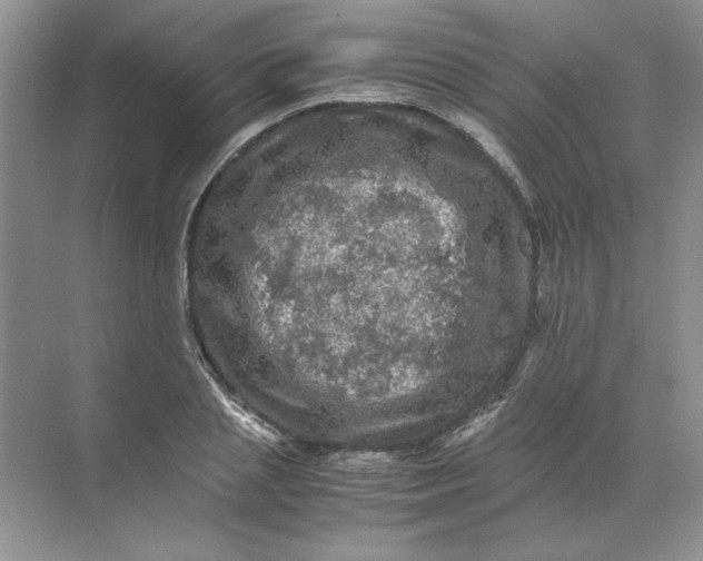 X0000071760837200607220007