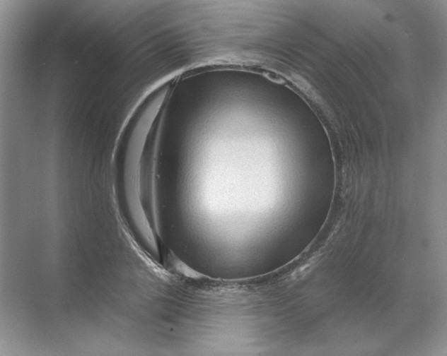 X0000071760838200607220007