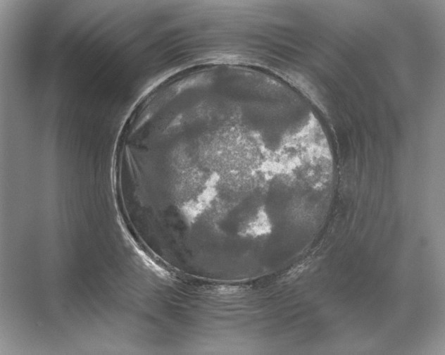 X0000071760839200607220007