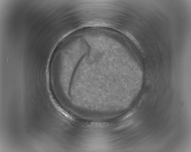 X0000071760840200607220008