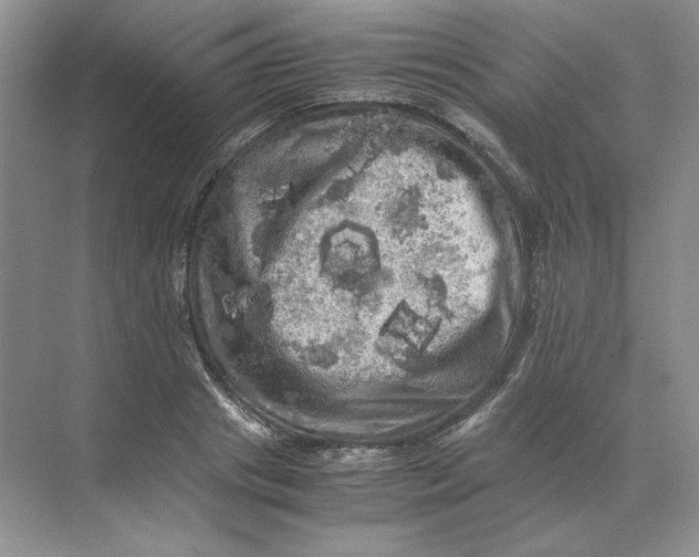 X0000071760841200607220008