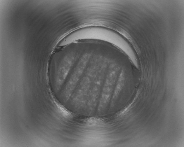 X0000071760842200607220008