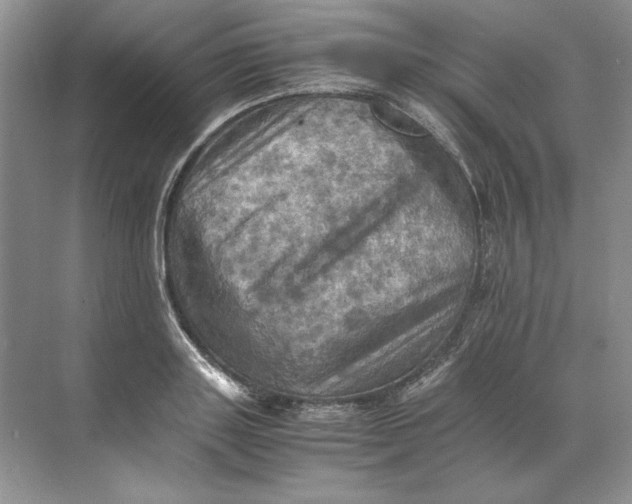 X0000071760843200607220008