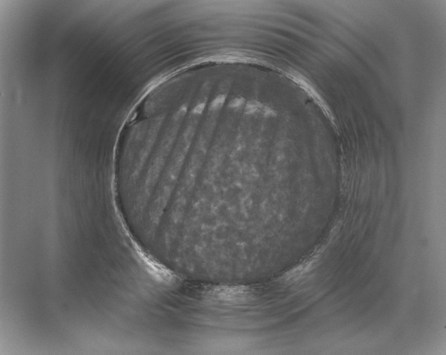 X0000071760845200607220008