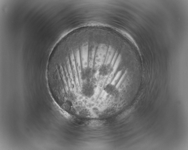 X0000071760847200607220008