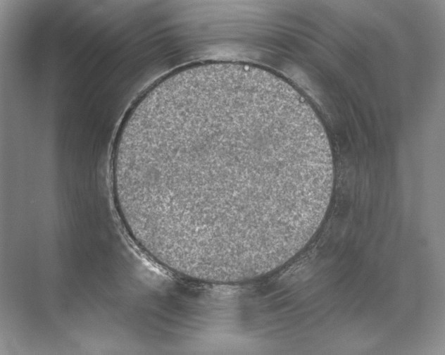 X0000071760848200607220008