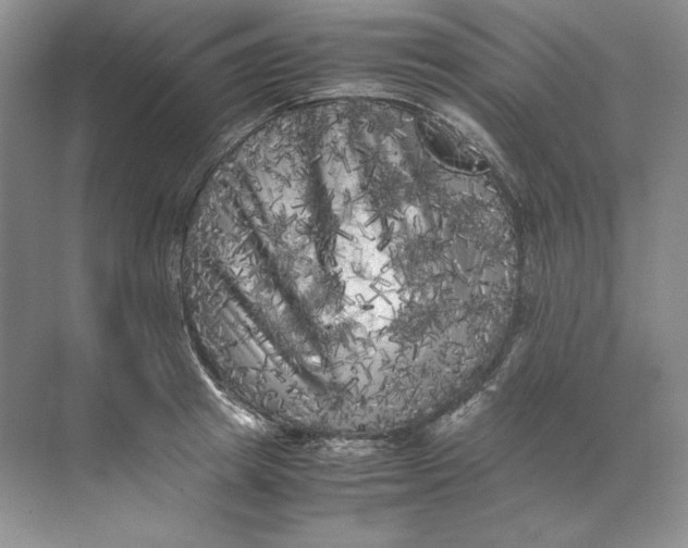 X0000071760849200607220008