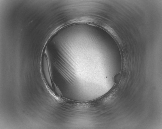 X0000071760850200607220008