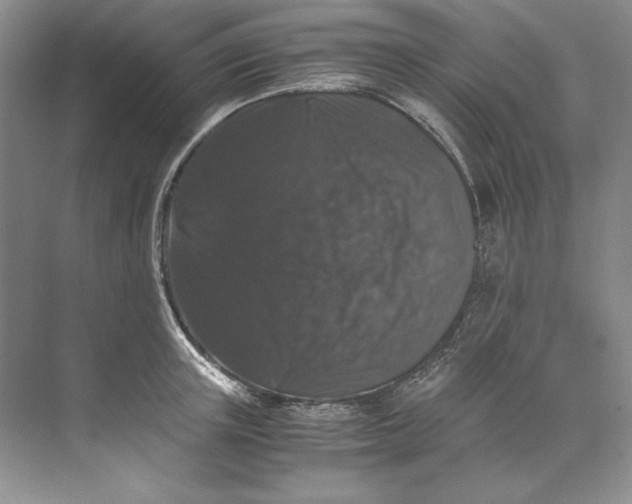 X0000071760851200607220008