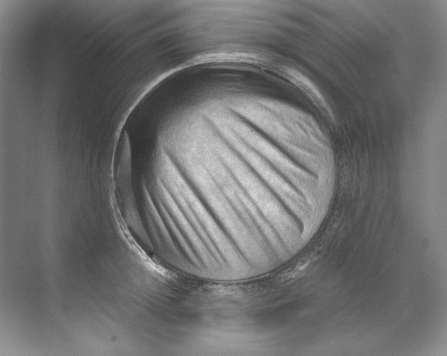 X0000071760852200607220008