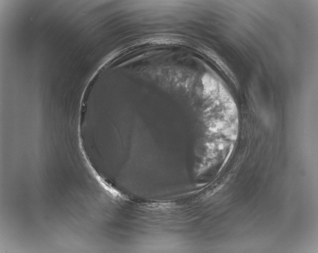 X0000071760853200607220008