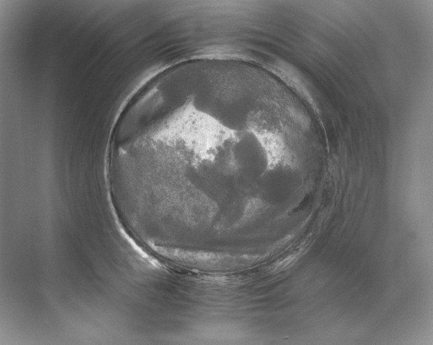 X0000071760855200607220008