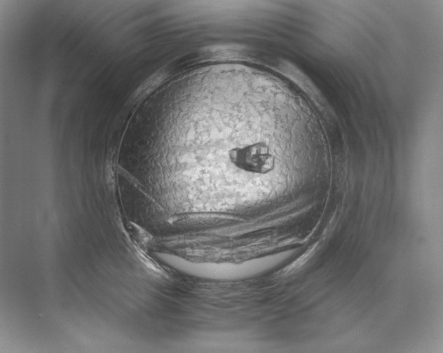 X0000071760857200607220008