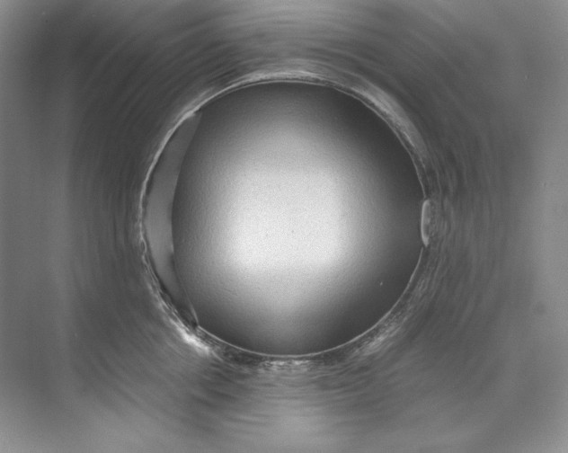 X0000071760858200607220008