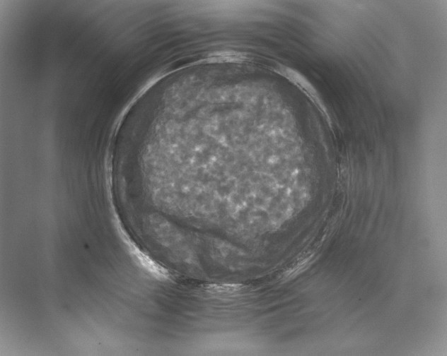 X0000071760859200607220008